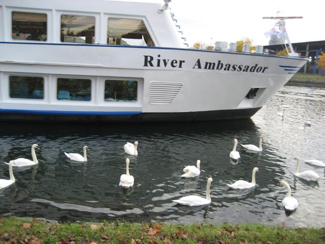 river ambassador